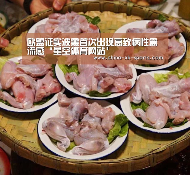 星空体育官网