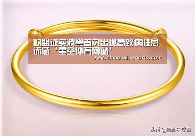 星空体育官网