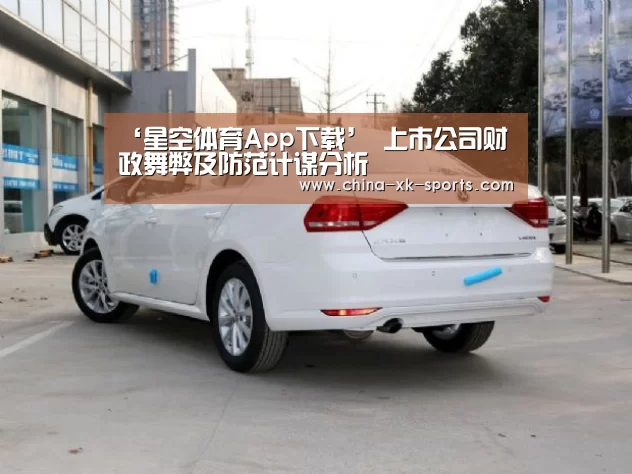‘星空体育App下载’
上市公司财政舞弊及防范计谋分析(图4)