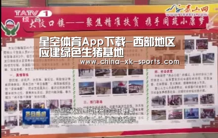 星空体育App下载