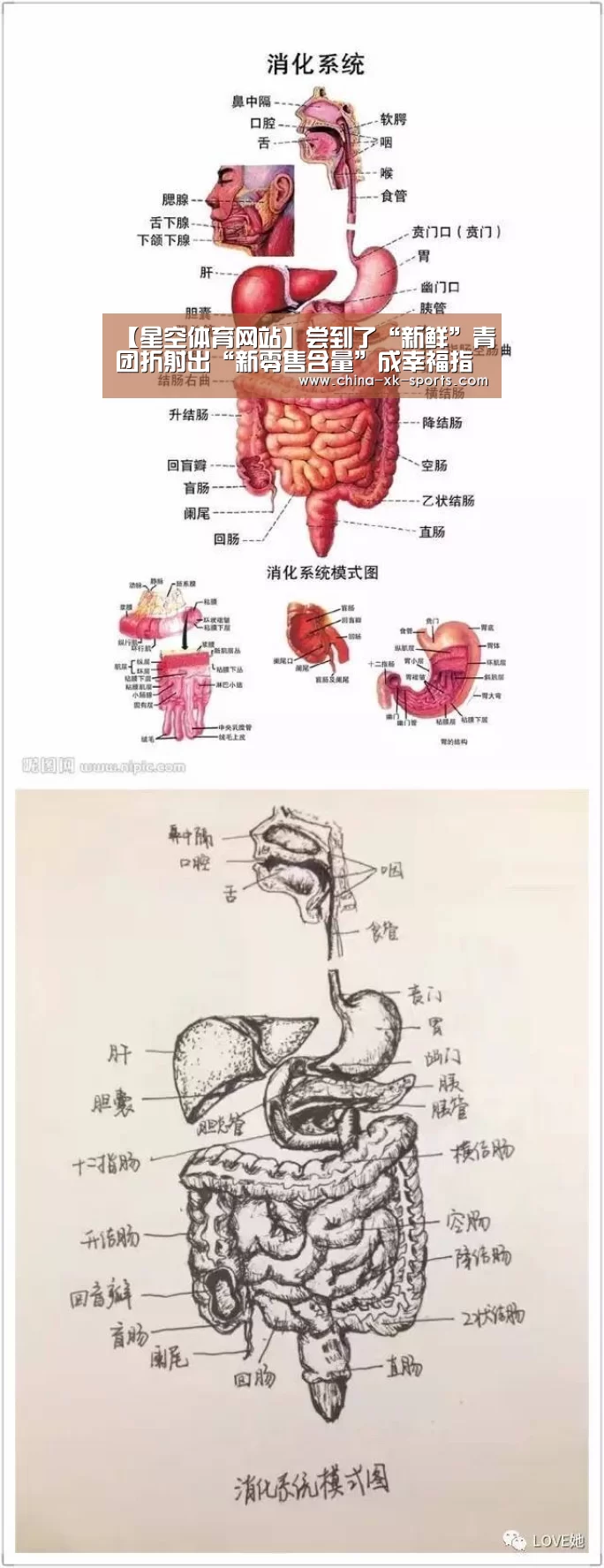 【星空体育网站】尝到了“新鲜”青团折射出“新零售含量”成幸福指标(图2)