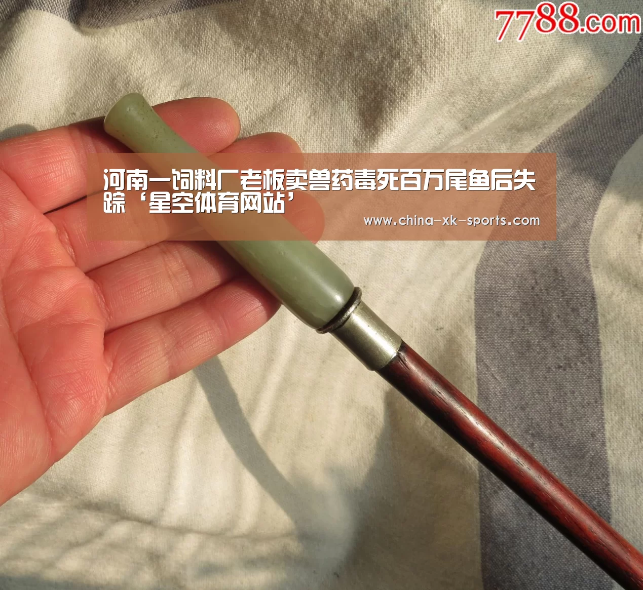 星空体育网站